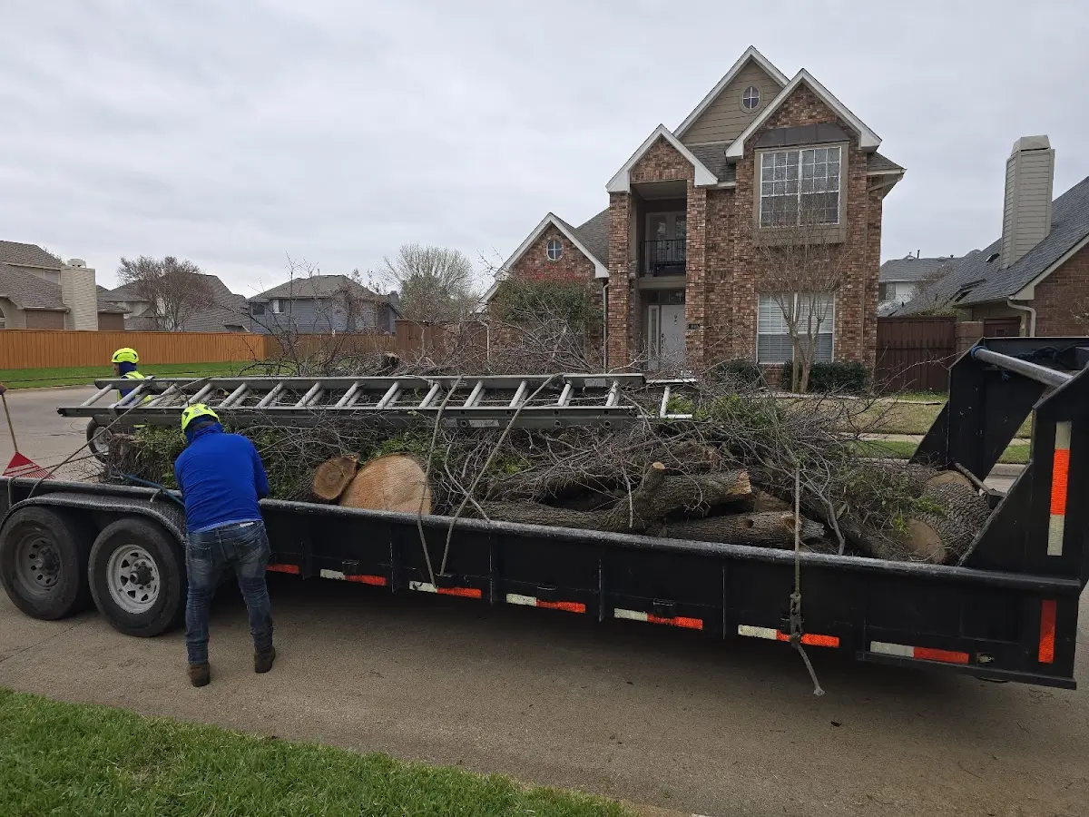 Expert Crown Reduction with proper safety equipment in Earlville